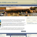 colorado-wildlife-action-network-home-page.jpg