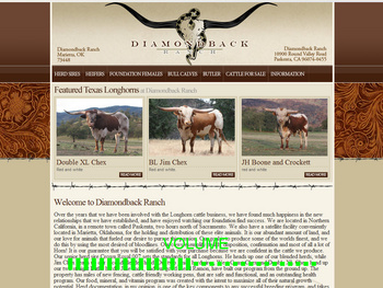 diamondback-ranch-home-page.jpg